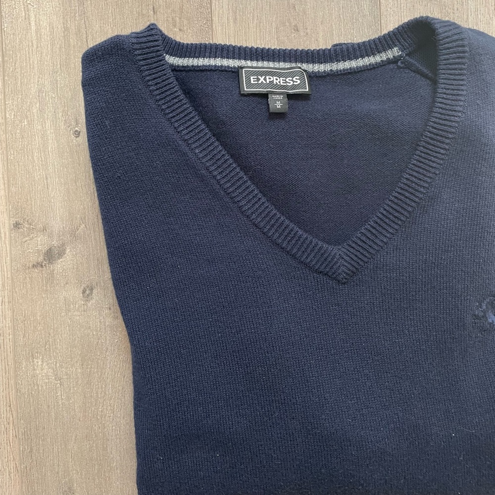 Express Dark Blue V-Neck Sweater